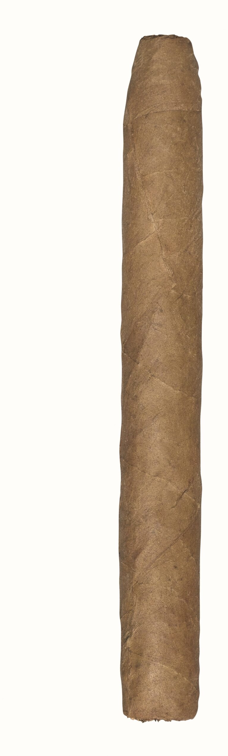 De Olifant Classic Corona Imperial – Bild 2
