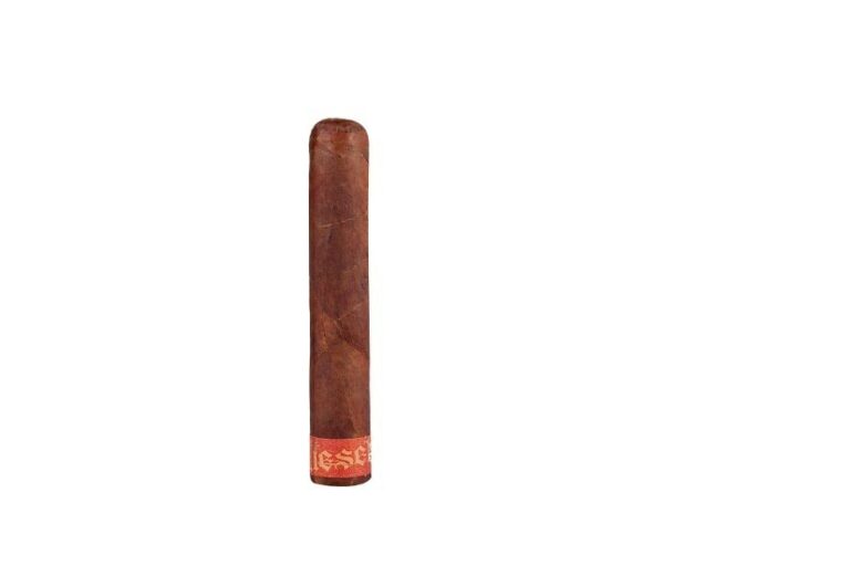 Diesel D4 Origin Robusto