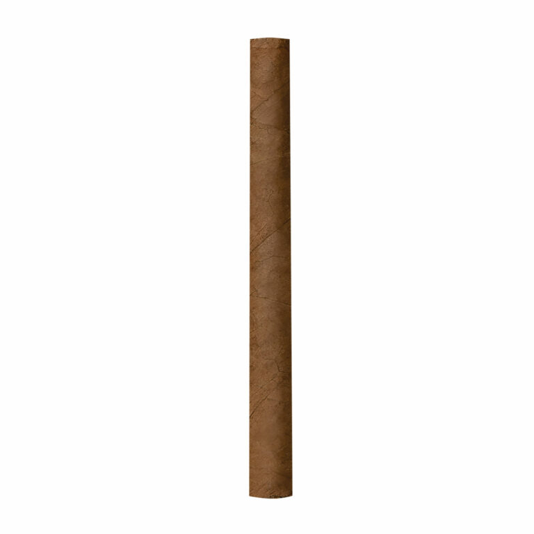Villiger La Capitana Club – Bild 2