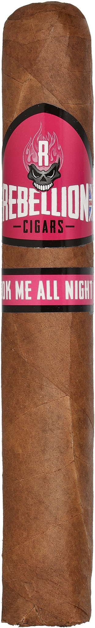 Rebellion Rockstar You Shook Me all Night Long Gordo